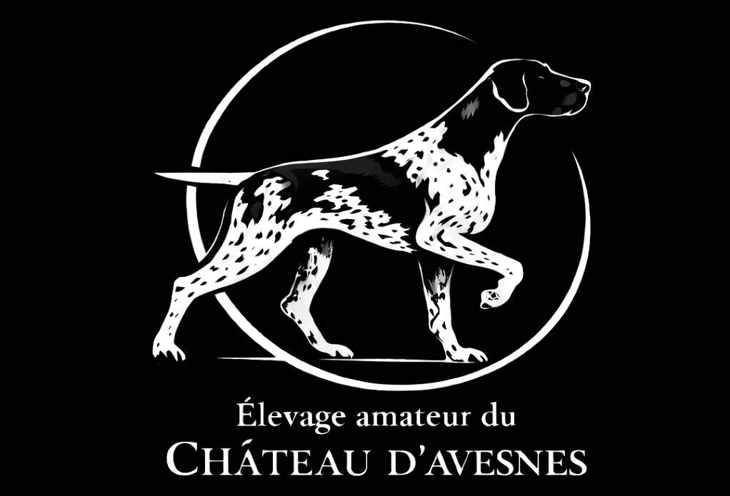 Elevage du Château d'Avesnes